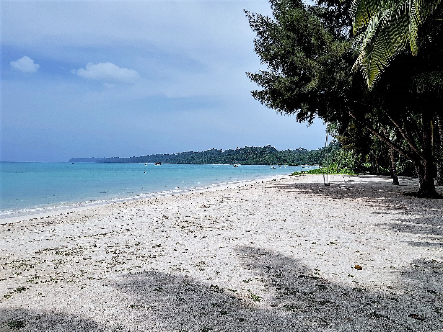 Blue Island Resort | Best Beach Resort in Havelock island